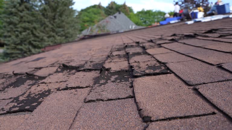 Best Steel Roofing  in Whiteville, NC