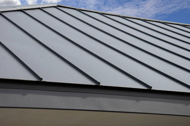 Best Skylight Installation and Repair  in Whiteville, NC